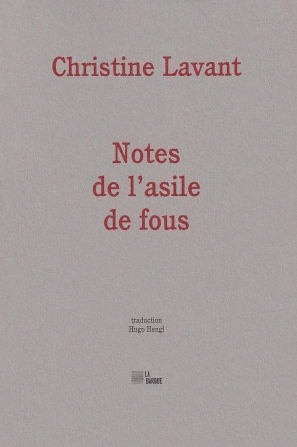 Notes de l'asile de fous