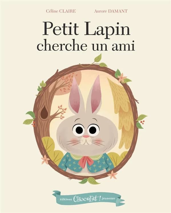 Petit lapin cherche un ami