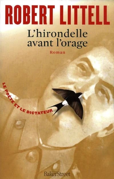 L'hirondelle avant l'orage : roman