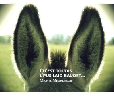 Ch'est toudis l'pus laid baudet