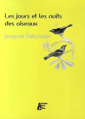 Les jours et les nuits des oiseaux