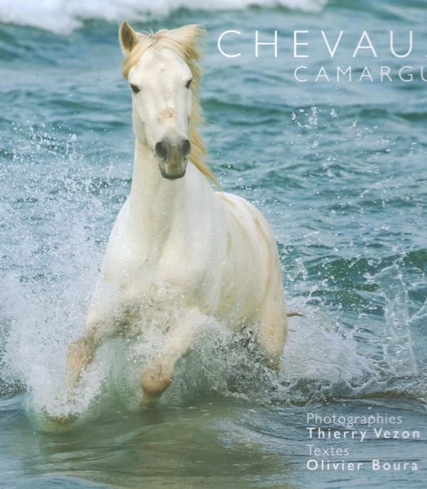 Chevaux camargue