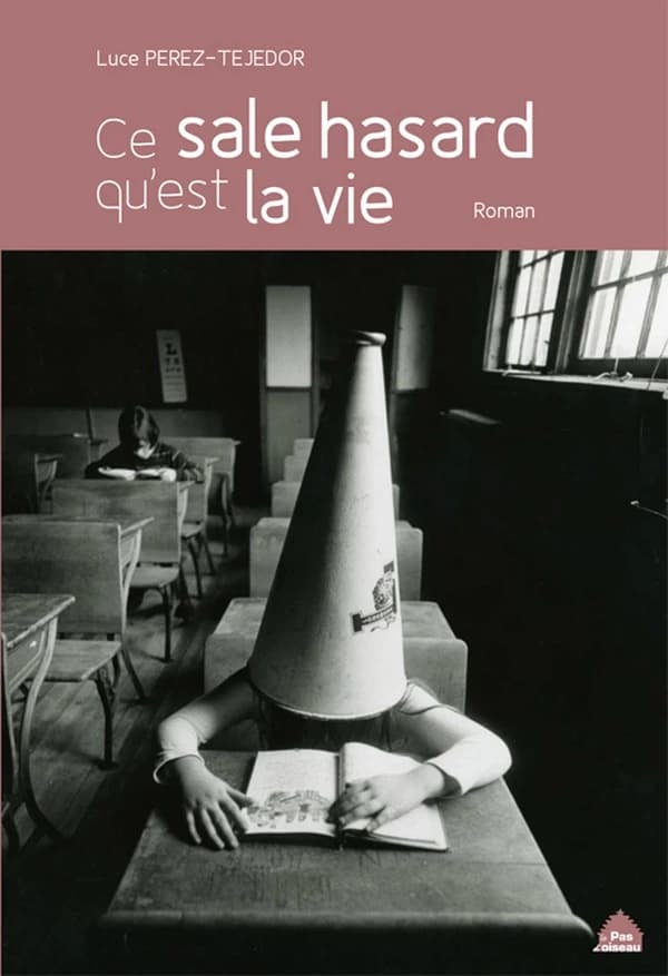 Ce sale hasard qu'est la vie : roman