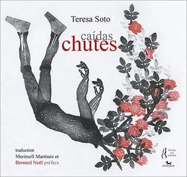 Chutes (Éd. bilingue) Teresa Soto ; préface, Bernard Noël ; traduction, Meritxell Martínez, Bernard Noël : Caídas