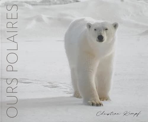 Ours polaires