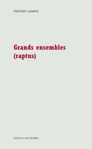 Grands ensembles : raptus : roman