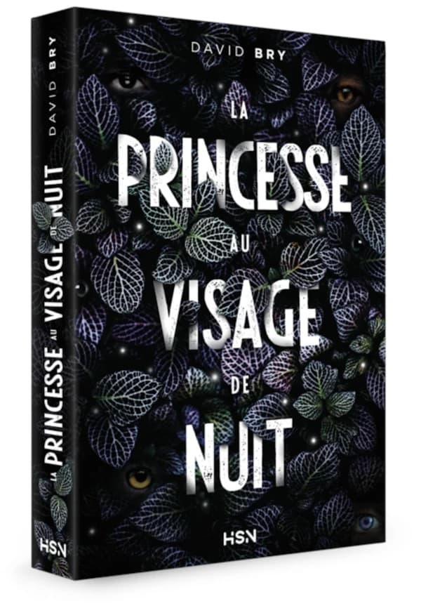 La princesse au visage de nuit