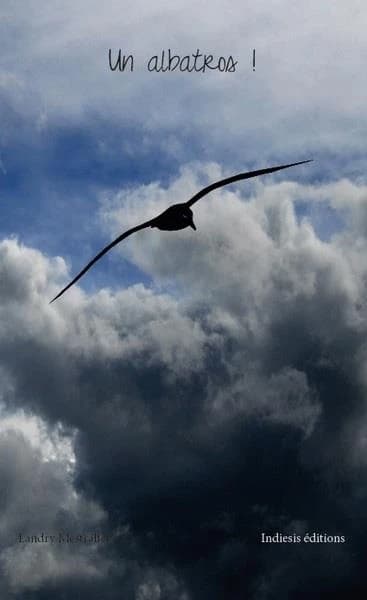 Un albatros !