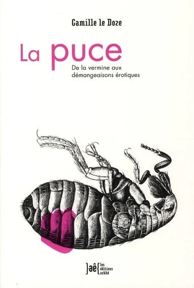 La puce : de la vermine aux démangeaisons érotiques