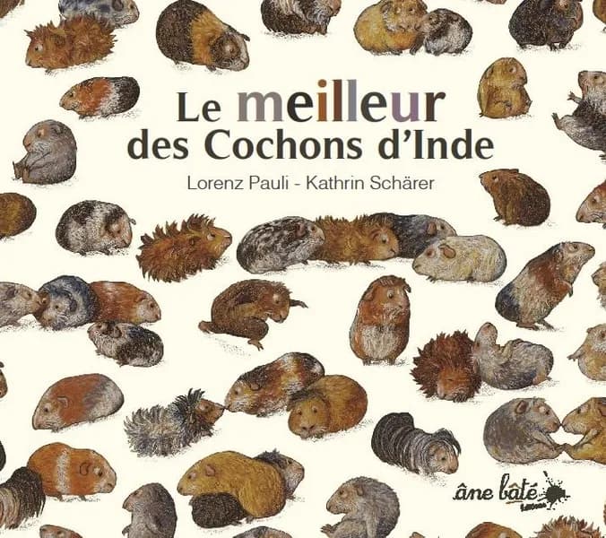 Le meilleur des cochons d'Inde