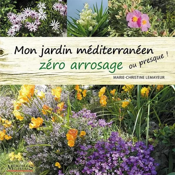 Mon jardin méditerranéen zéro arrosage : ou presque !