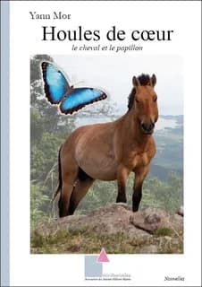 Houles de coeur : le cheval et le papillon : nouvelles