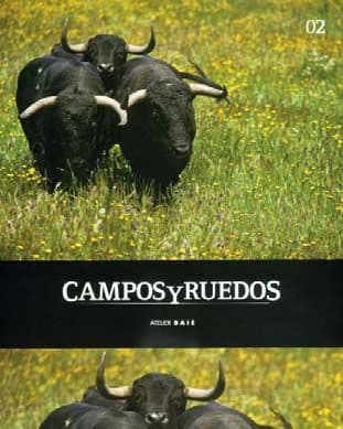 Campos y ruedos. 02