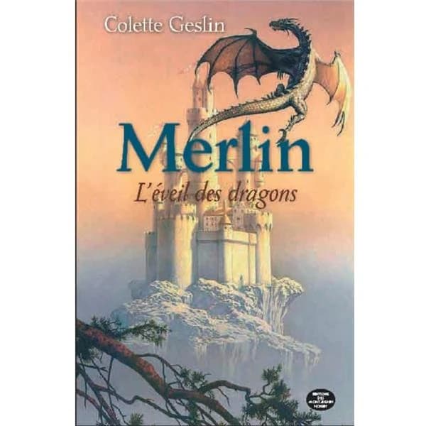 L'éveil des dragons : roman