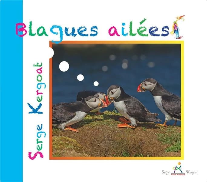 Blagues ailées : de l'humour argenté du Goéland !