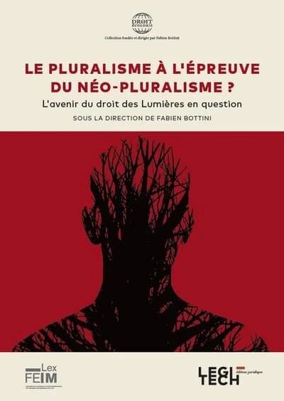 Le pluralisme à l'épreuve du néopluralisme ? : l'avenir du droit des Lumières en question