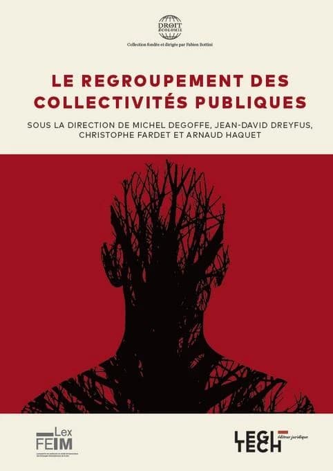 Le regroupement des collectivités publiques