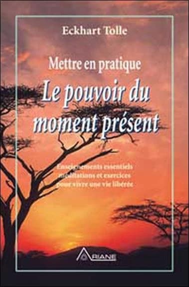 Mettre en pratique le pouvoir du moment présent : enseignements essentiels, méditations et exercices pour jouir d'une vie libérée