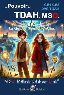 Le pouvoir du tdah mso ce1 ce2 dys tdah methode syllabique orale: tome 1 dys tda tdah ce1 ce2