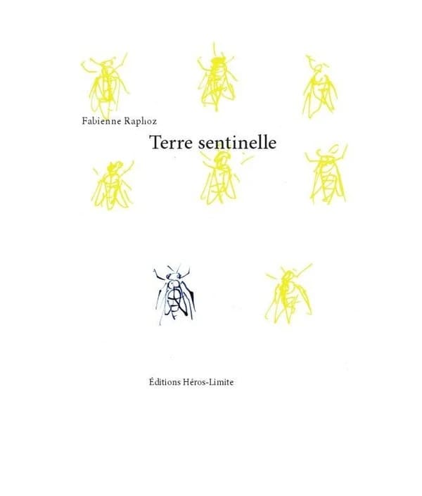 Terre sentinelle