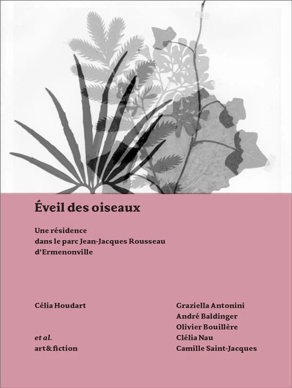 Éveil des oiseaux : une résidence dans le parc Jean-Jacques-Rousseau d'Ermenonville