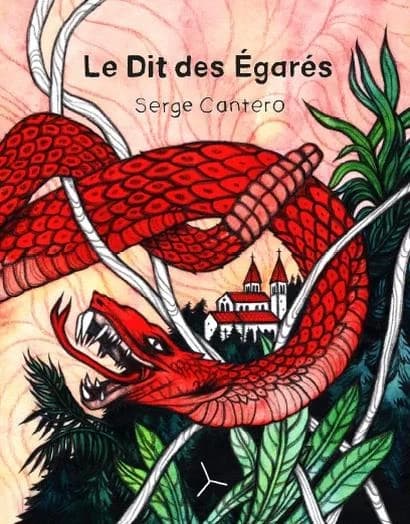 Le dit des égarés : roman