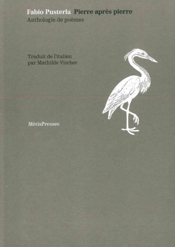Pierre après pierre : anthologie de poèmes (Éd. bilingue) Fabio Pusterla ; traduit de l'italien par Mathilde Vischer
