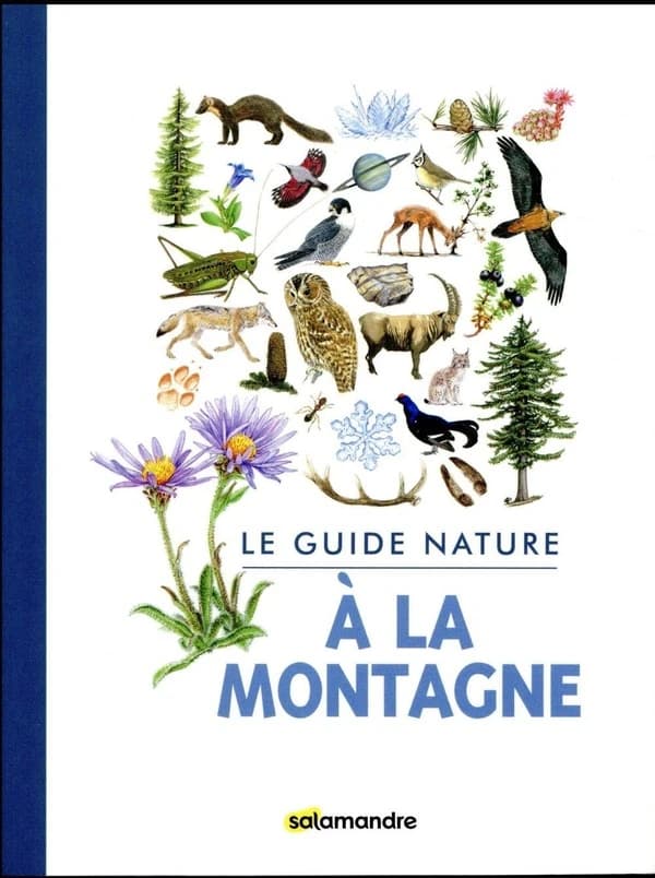 À la montagne