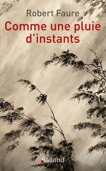Comme une pluie d'instants : une traversée du temps