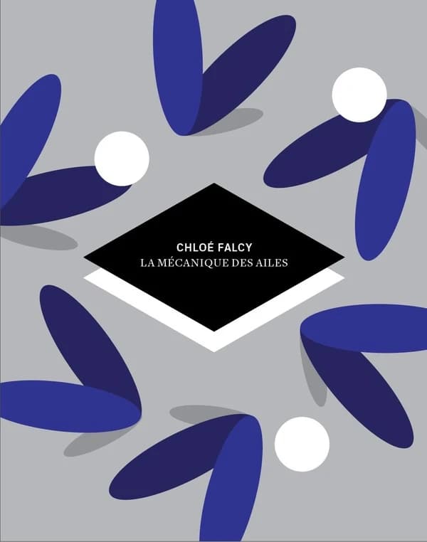 La mécanique des ailes