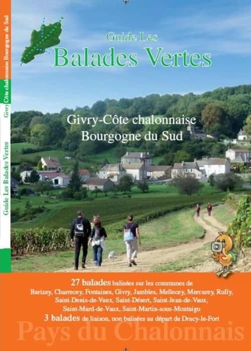 Givry au fil du temps : chroniques d'une petite ville de Bourgogne : avec historique de la vigne
