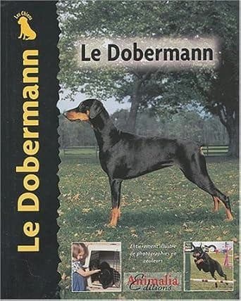 Le dobermann