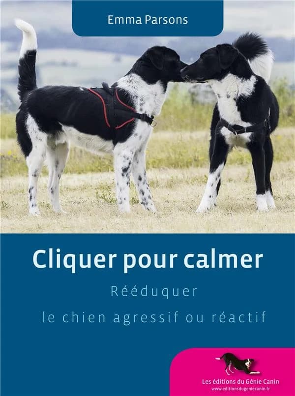 Cliquer pour calmer : rééduquer le chien agressif ou réactif