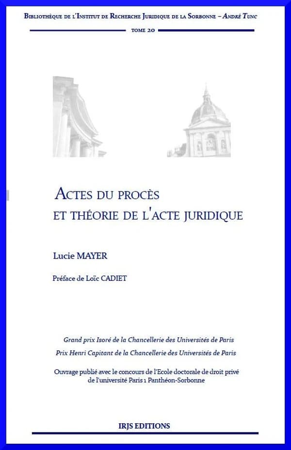 Actes du procès et théorie de l'acte juridique