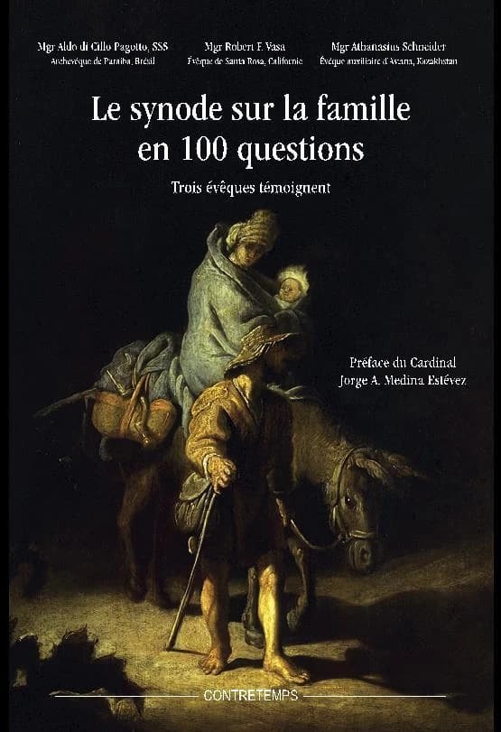 Le synode sur la famille en 100 questions : trois évêques témoignent