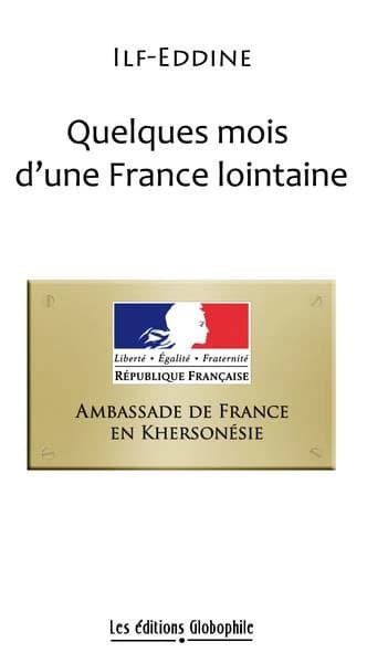Quelques mois d'une France lointaine : roman