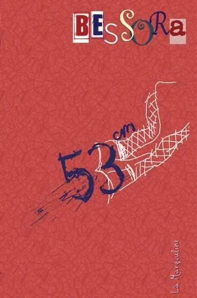53 cm : roman