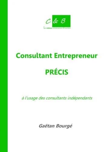 Consultant entrepreneur : précis à l'usage des consultants indépendants