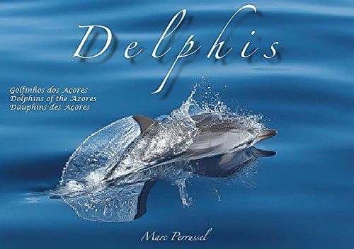 Delphis, dauphins des acores