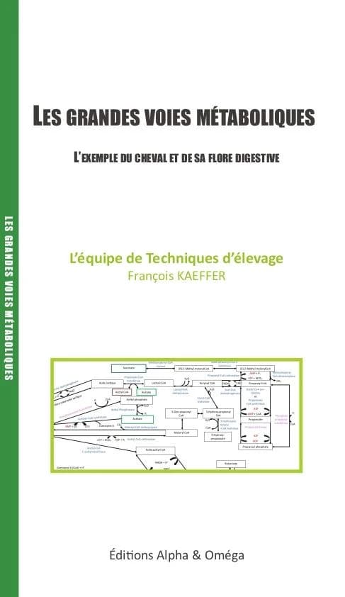 Les grandes voies métaboliques ; l'exemple du cheval et de sa flore digestive