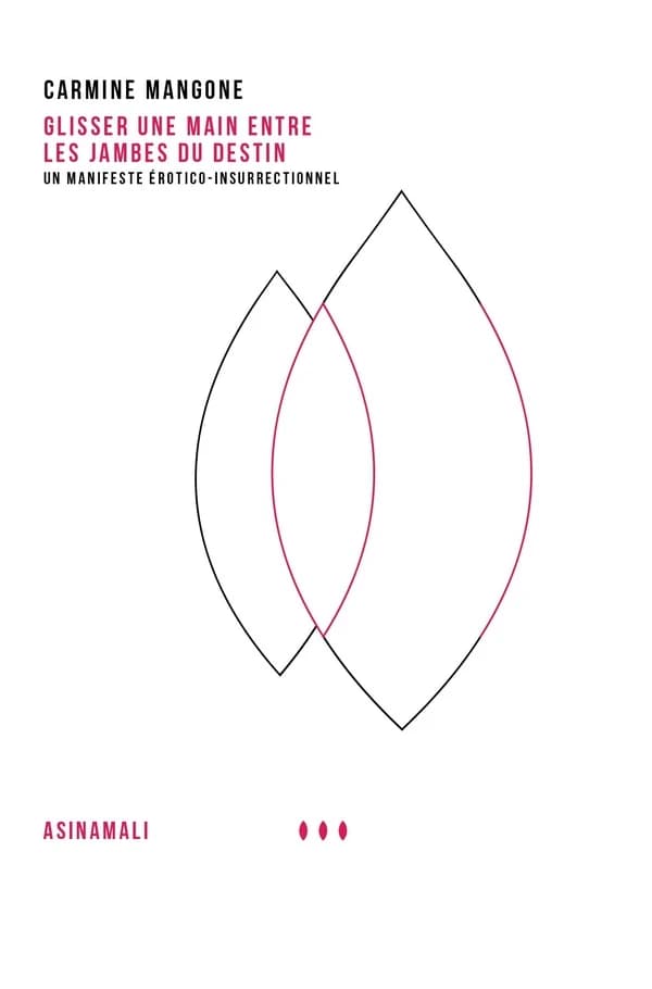 Glisser une main entre les jambes du destin : un manifeste érotico-insurrectionnel (2e éd.) Carmine Mangone ; traduit de l'italien par Virginie Ebongué