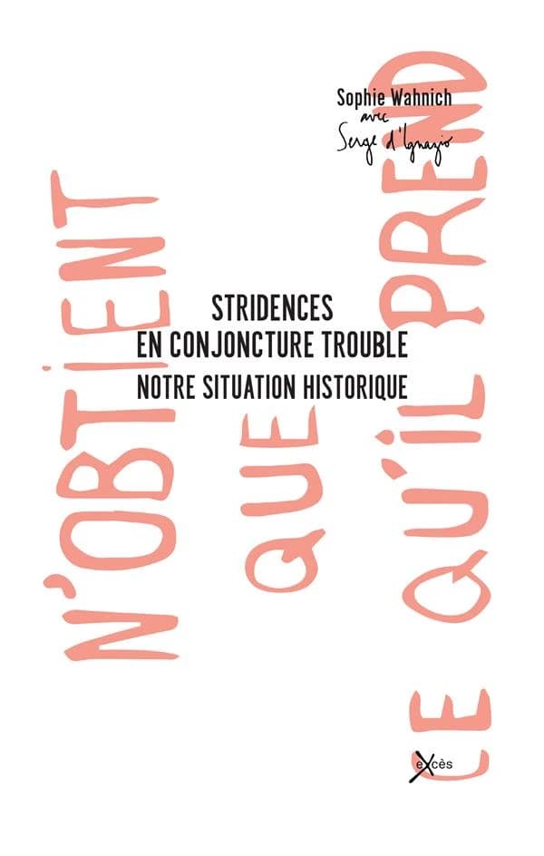 Stridences en conjoncture trouble : notre situation historique