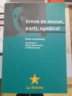 Grève de masse, parti et syndicat