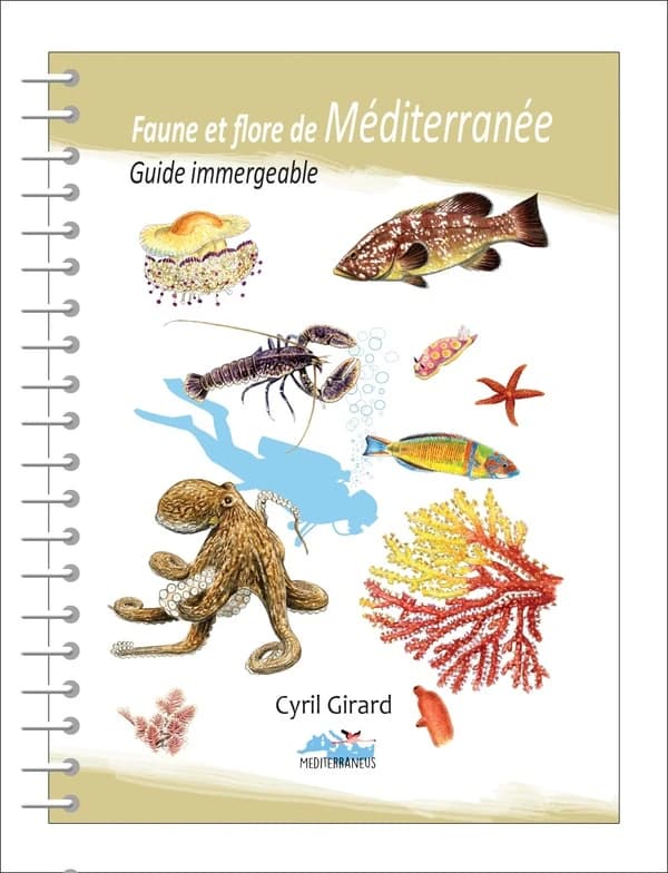 Faune et flore de Méditerranée : guide immergeable