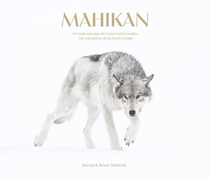 Mahikan : Les Loups Sauvages du Grand Nord Canadien