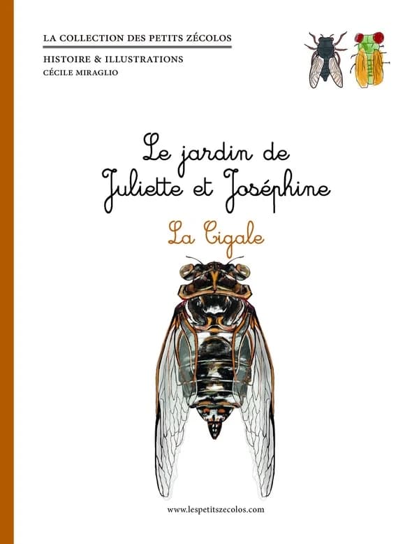 Le jardin de Juliette et Joséphine. La cigale