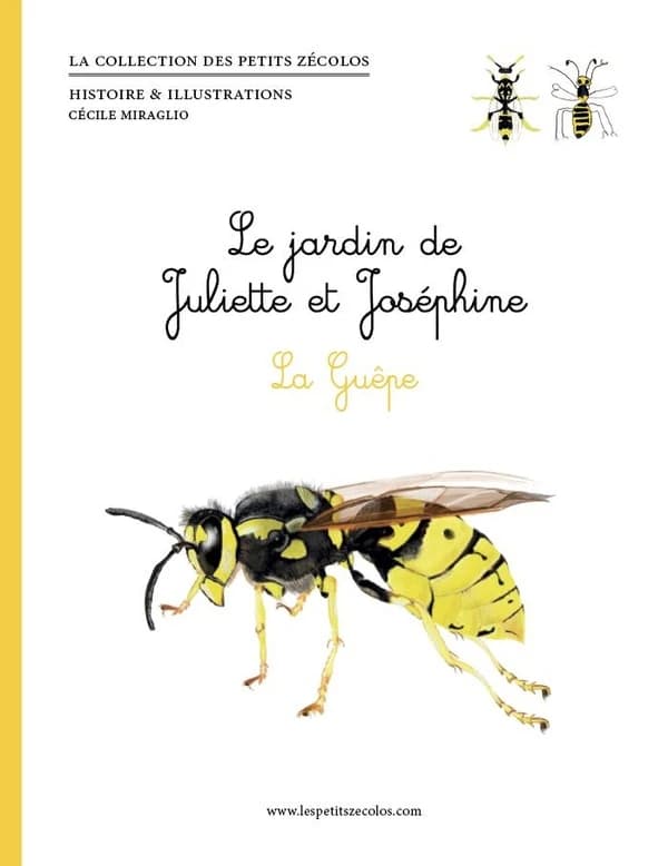 Le jardin de Juliette et Joséphine : la guêpe