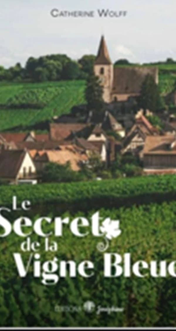 Le secret de la vigne bleue