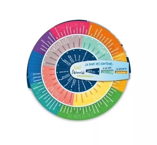 La roue des émotions : version ado