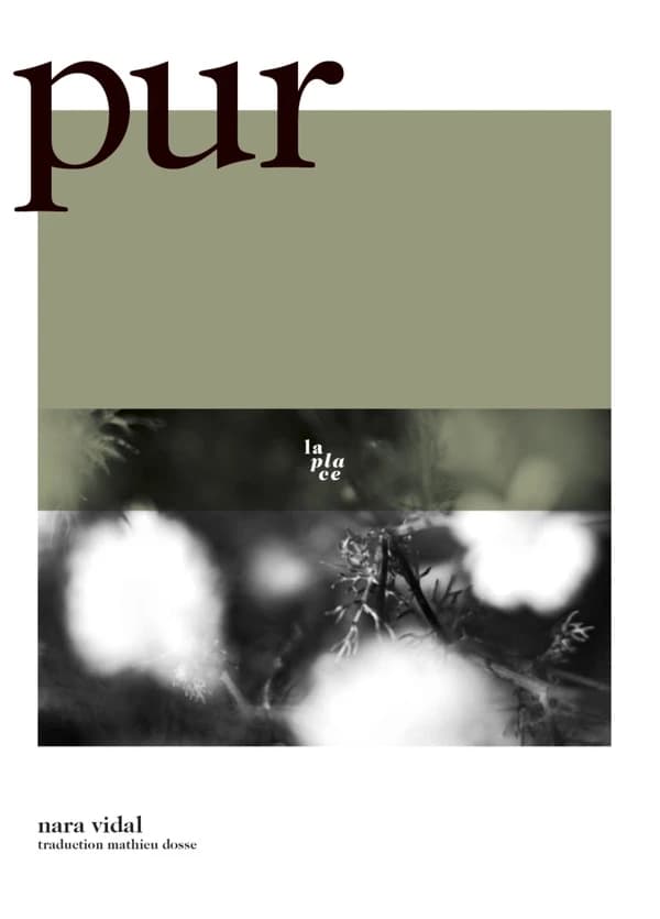Pur : roman